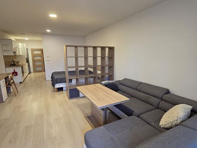 Pronájem bytu 1+kk 73 m²