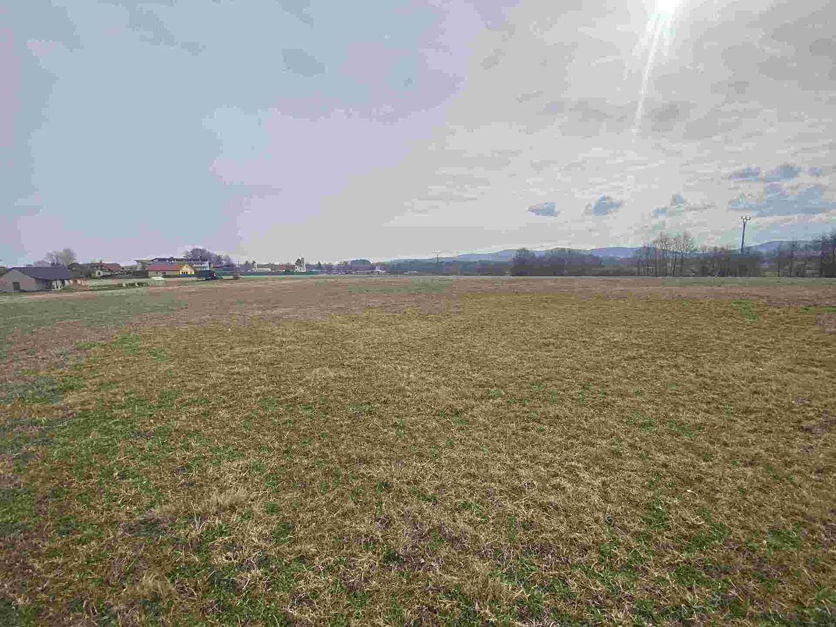 Prodej stavebního pozemku 3502 m² – fotografie 3