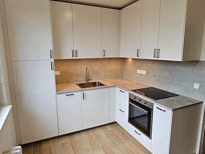 Pronájem bytu 1+1 41 m² (Jednopodlažní)