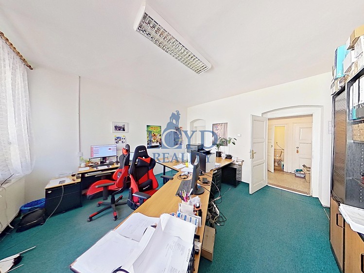 Prodej komerčního prostoru, 250 m² (12 z 30)