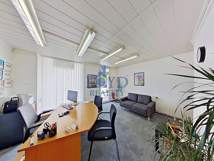 Prodej komerčního prostoru, 250 m² (8 z 30)