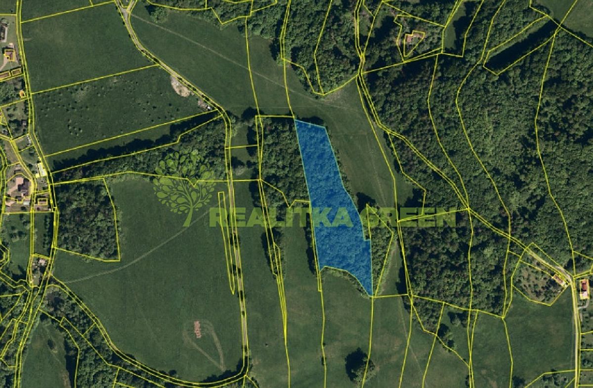 Prodej lesa 13014 m²