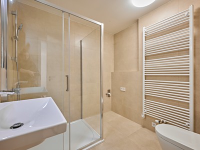 Pronájem bytu 2+kk 55 m² (Jednopodlažní) — photo 4