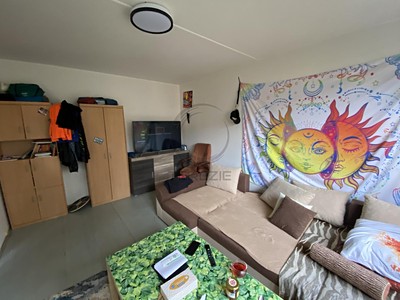 Prodej bytu 1+kk 23 m² (Jednopodlažní)