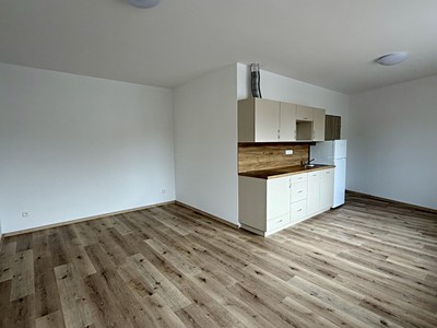 Pronájem bytu 1+kk 35 m²