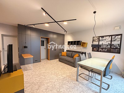 Pronájem bytu 1+kk 41 m² (Jednopodlažní)