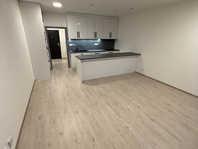 Pronájem bytu 1+kk 39 m² (Jednopodlažní)