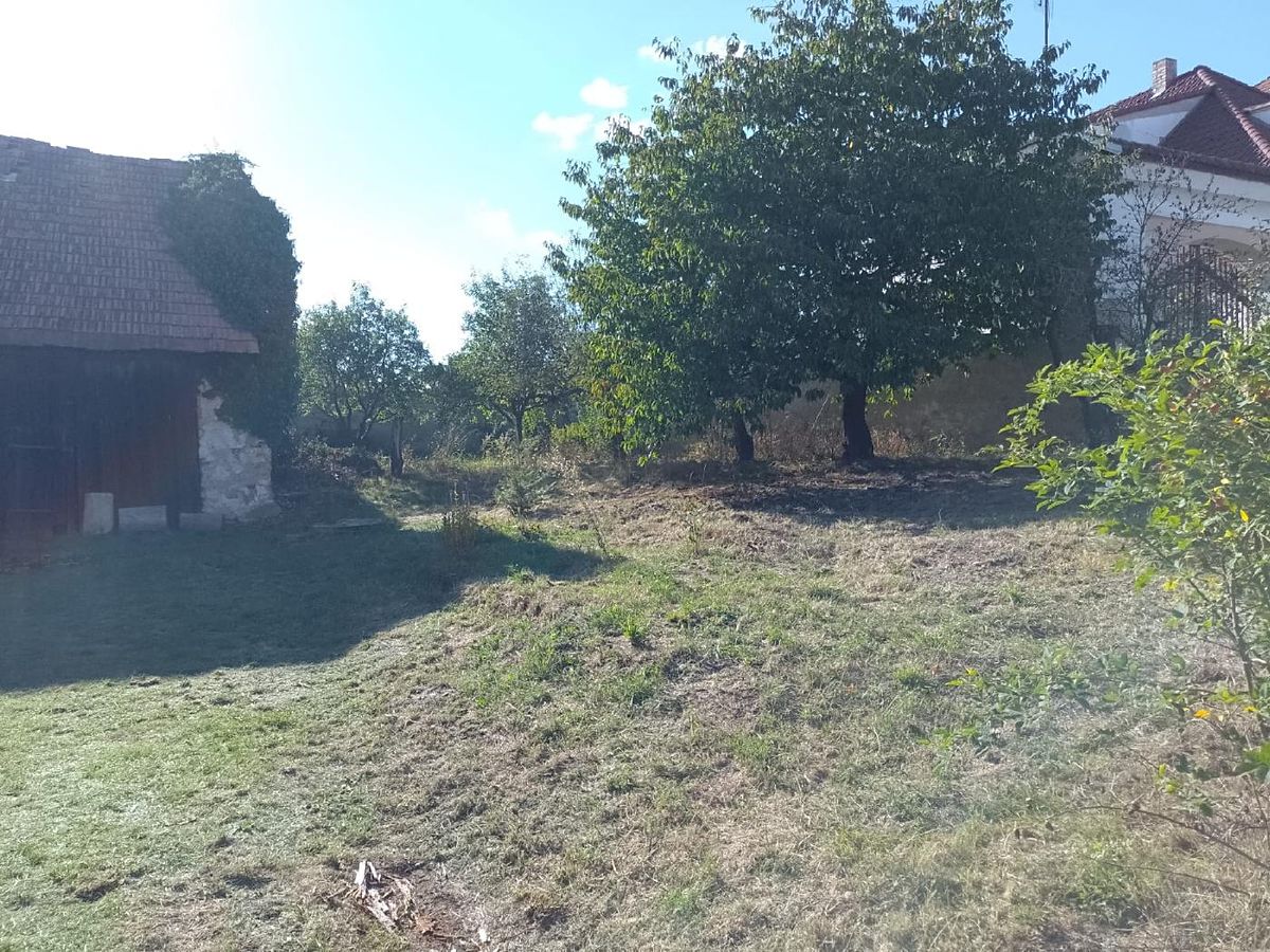 Prodej rodinného domu 80 m², pozemek 790 m² – fotografie 5