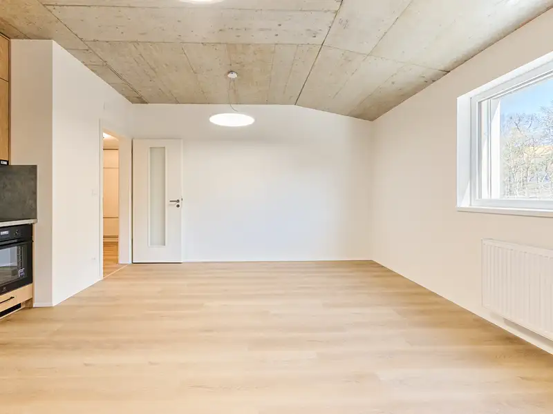 Pronájem bytu 2+kk 55 m², Praha – náhled fotky 2