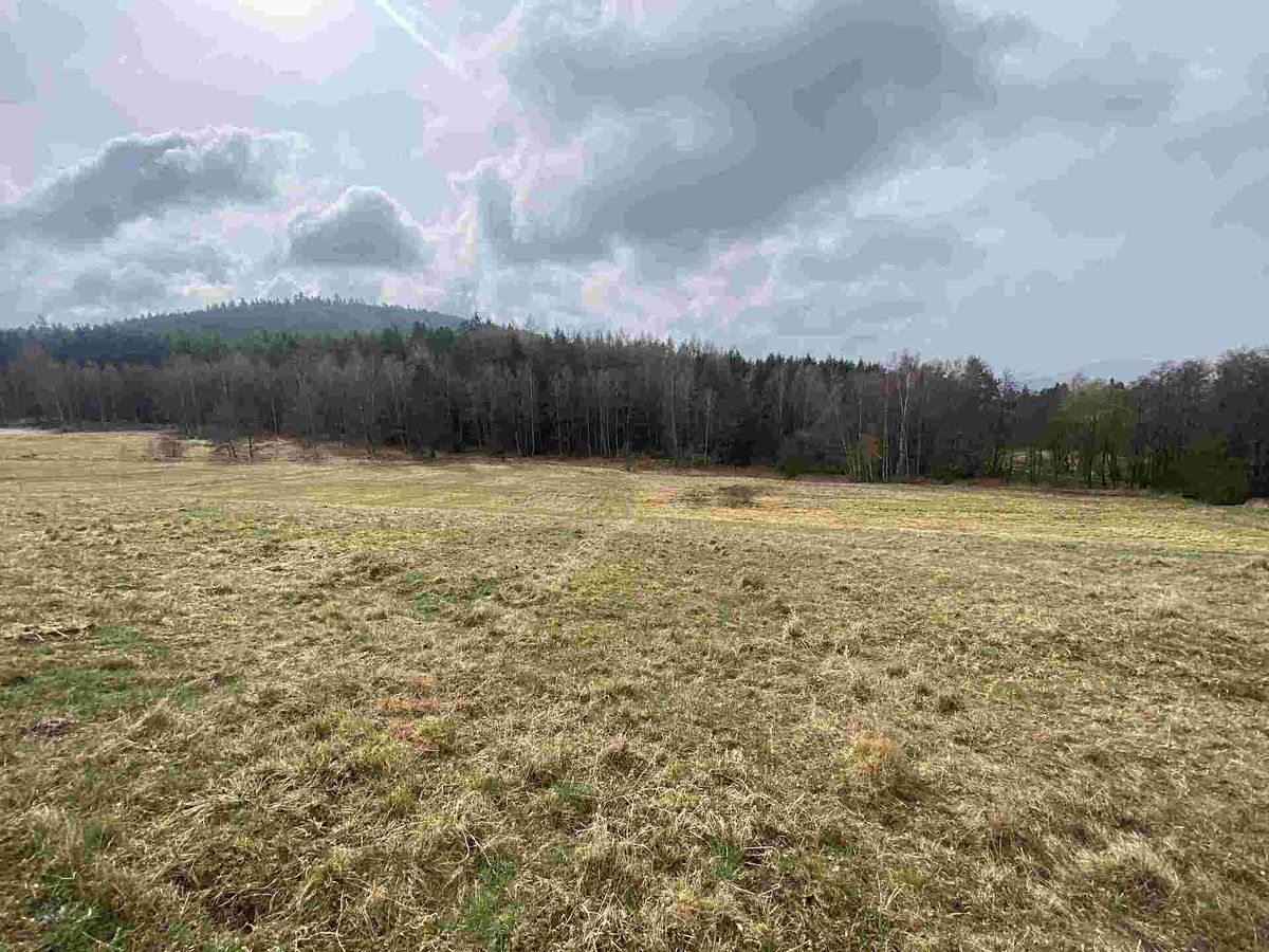 Prodej pole 8071 m² – fotografie 3