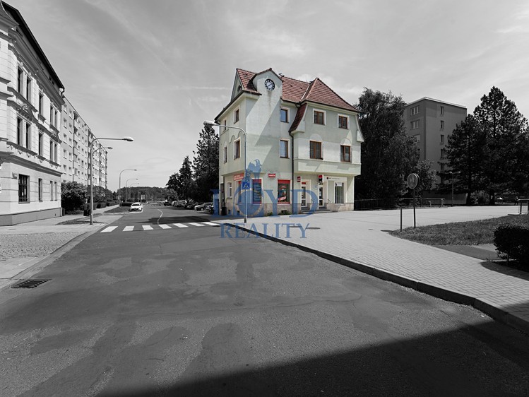 Prodej komerčního prostoru, 250 m² (3 z 30)