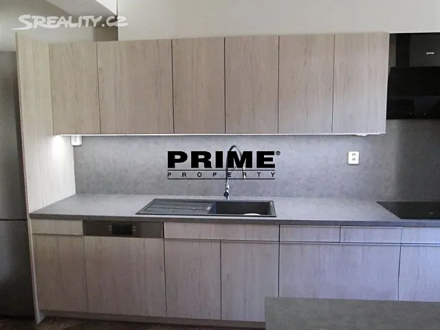Pronájem rodinného domu 340 m², pozemek 1197 m² – pohled 5