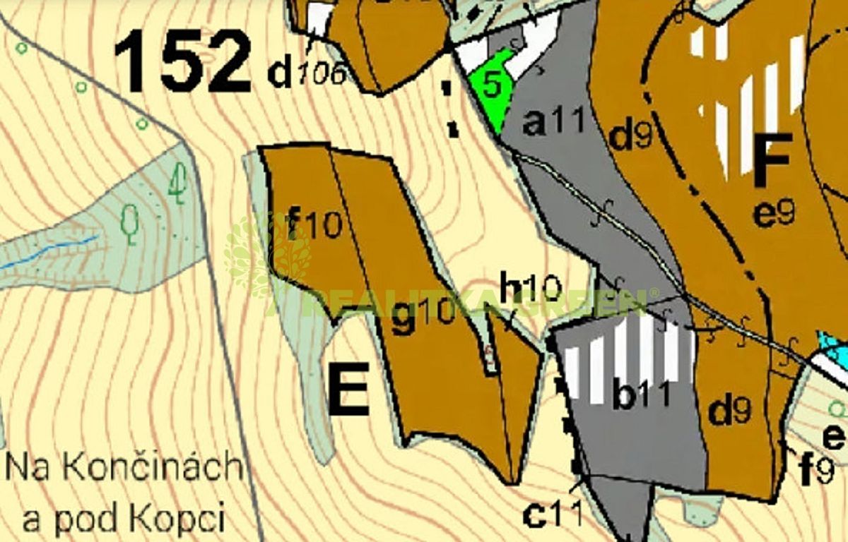 Prodej lesa 13014 m² – fotografie 2