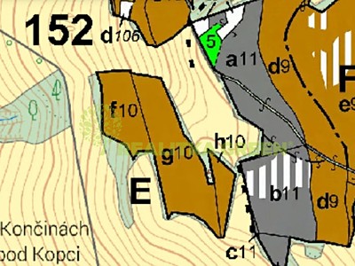 Prodej  lesa 13 014 m² — photo 2