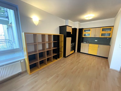 Pronájem bytu 1+kk 37 m²