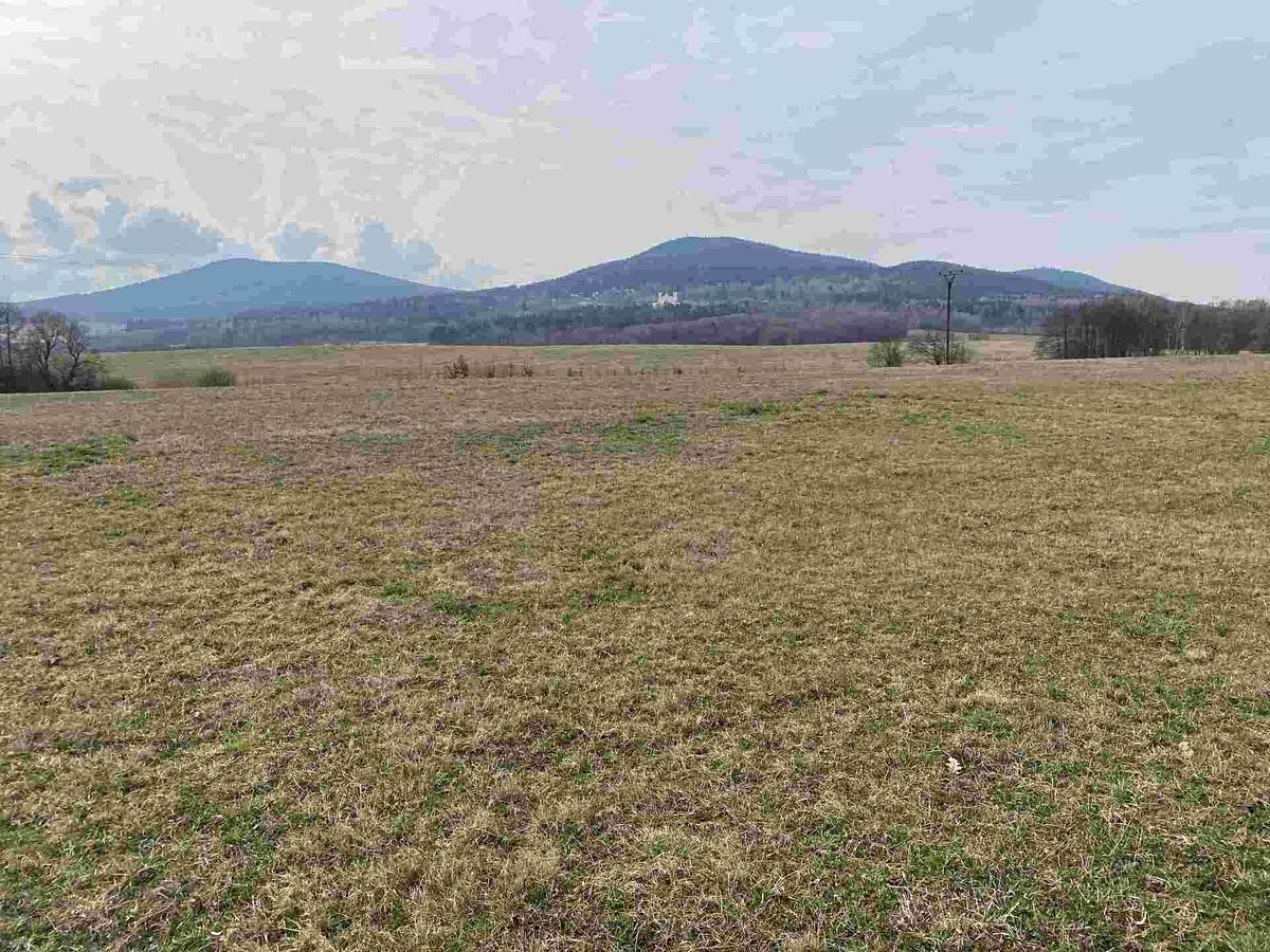 Prodej stavebního pozemku 3502 m² – fotografie 2