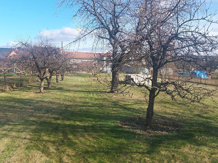 Ділянка на продаж, 1 080 м² (5 з 14)