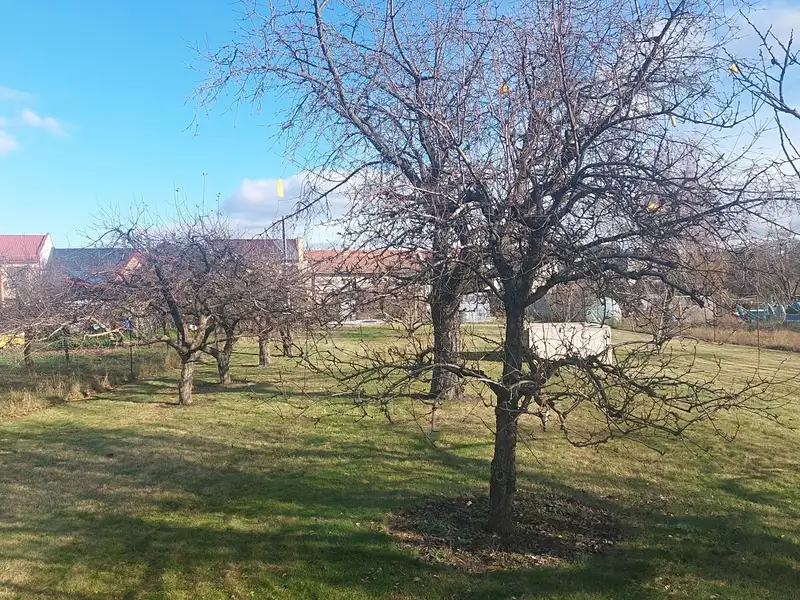 Prodej zahrady 1080 m², Olomouc – náhled fotky 1