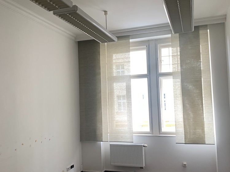 Pronájem komerčního prostoru, 325 m² (6 z 15)