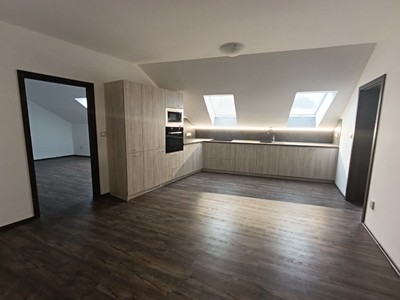 Pronájem bytu 4+kk 65 m² (Jednopodlažní)