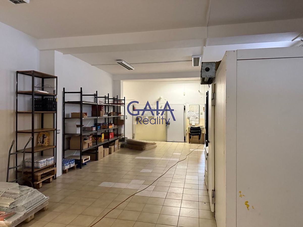 Prodej obchodního prostoru 2475 m² – fotografie 4