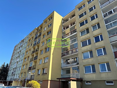 Prodej bytu 3+kk 63 m² (Jednopodlažní)