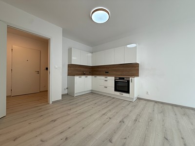 Pronájem bytu 2+kk 55 m² (Jednopodlažní)