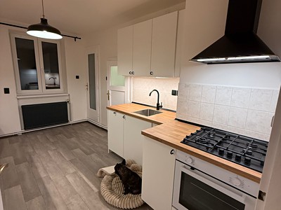 Pronájem bytu 2+1 64 m² (Jednopodlažní)