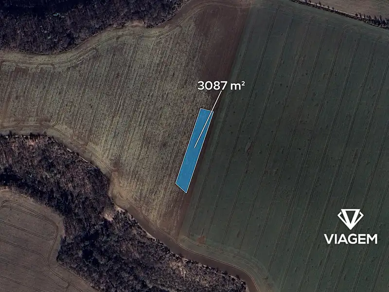Prodej pole 3087 m², Vysoká – náhled fotky 2