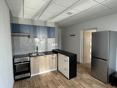 Pronájem bytu 1+1 35 m² (Jednopodlažní)