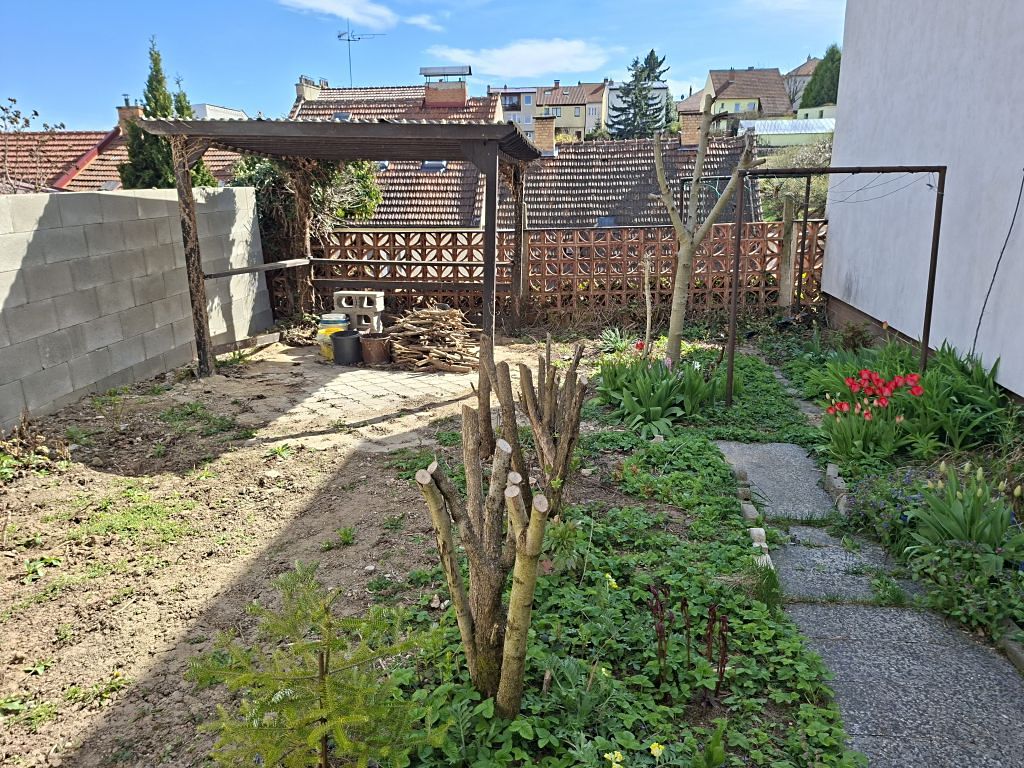 Prodej rodinného domu 156 m², pozemek 156 m² – fotografie 3