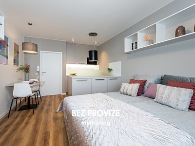 Pronájem bytu 1+kk 34 m²