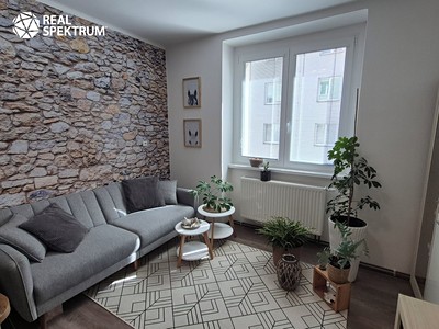 Pronájem bytu 2+kk 48 m²