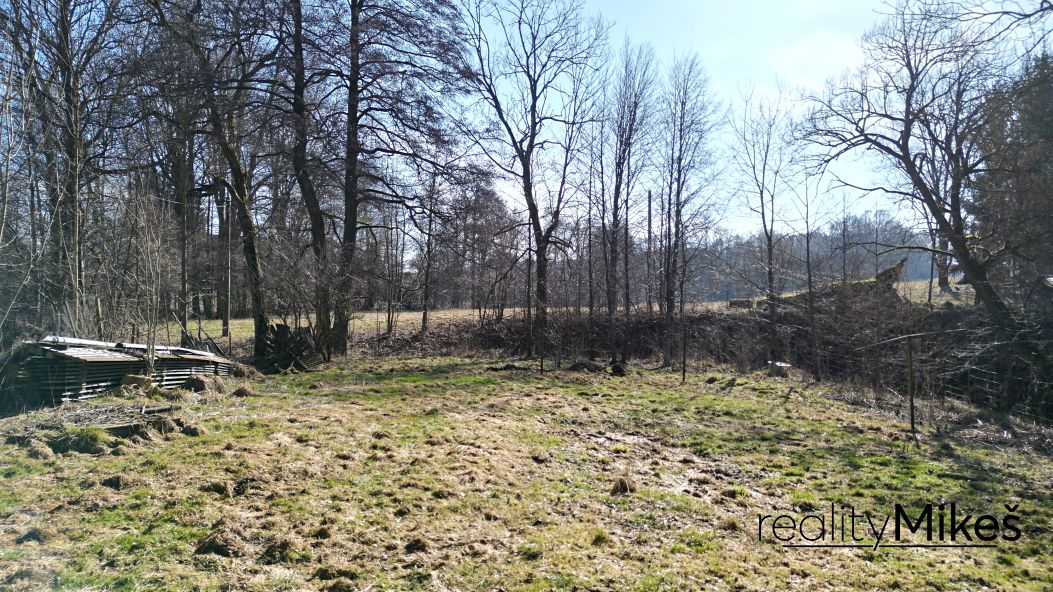 Prodej rodinného domu 168 m², pozemek 2359 m² – fotografie 5