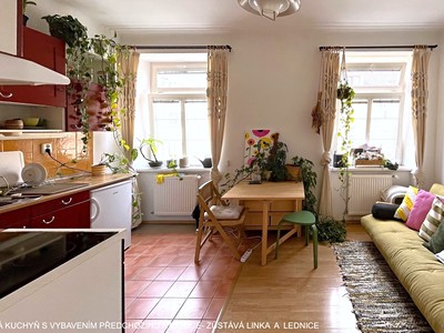 Pronájem bytu 1+1 40 m² (Jednopodlažní)