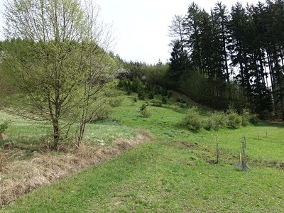 Prodej  louky 7 095 m²
