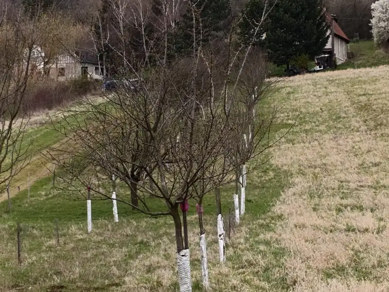 Prodej zahrady 899 m², Uherský Brod – náhled fotky 2
