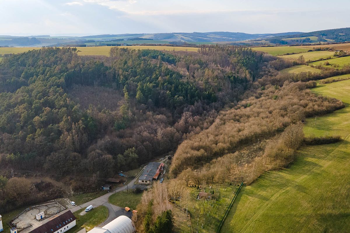 Prodej louky 39580 m² – fotografie 3