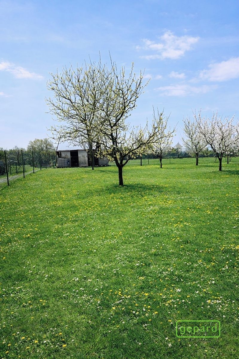 Prodej pozemku 878 m²