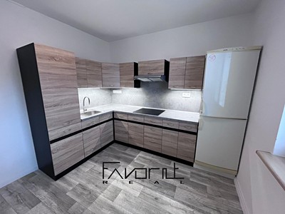 Pronájem bytu 1+1 38 m²