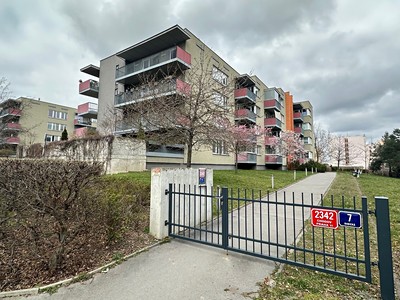 Pronájem bytu 2+kk 71 m² (Jednopodlažní)