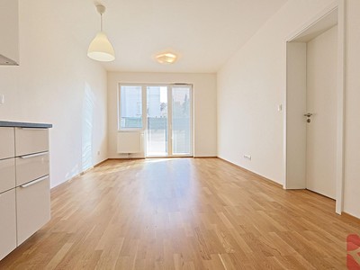 Pronájem bytu 2+kk 53 m²