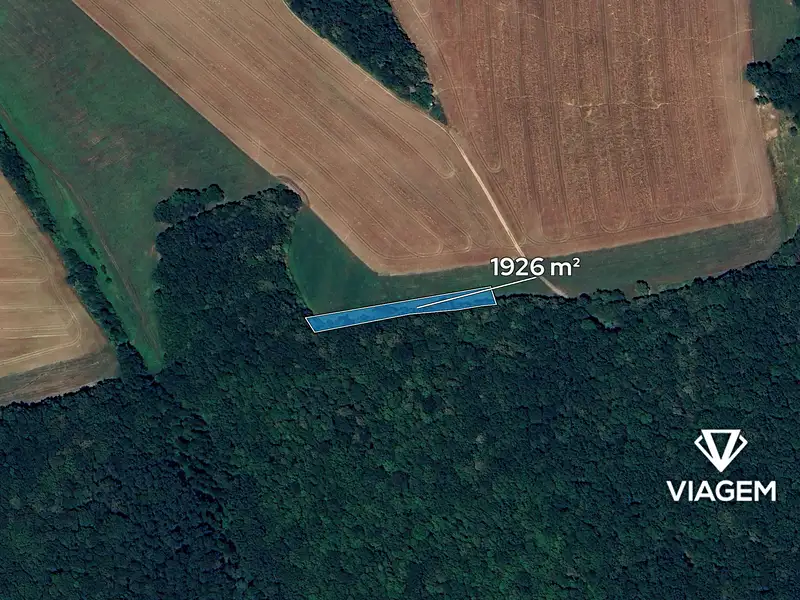 Prodej pole 1926 m², Nedachlebice – náhled fotky 2