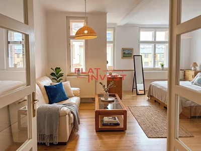 Pronájem bytu 1+1 45 m² (Jednopodlažní)