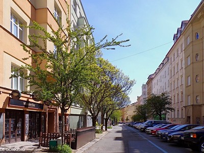 Pronájem bytu 2+kk 40 m² (Jednopodlažní)