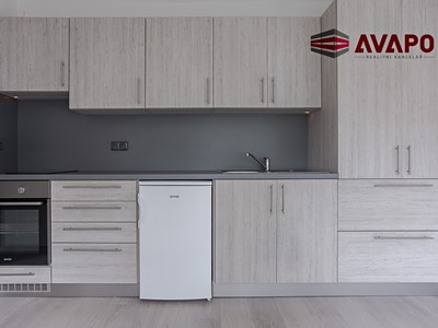 Pronájem bytu 1+1 33 m²