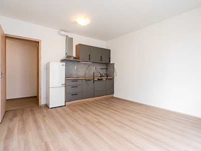 Pronájem bytu 2+kk 43 m² (Jednopodlažní)