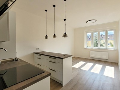 Pronájem bytu 3+kk 53 m² (Jednopodlažní)