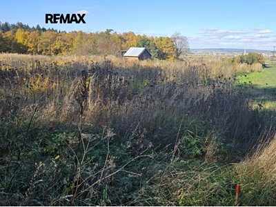 Prodej  zahrady 404 m²