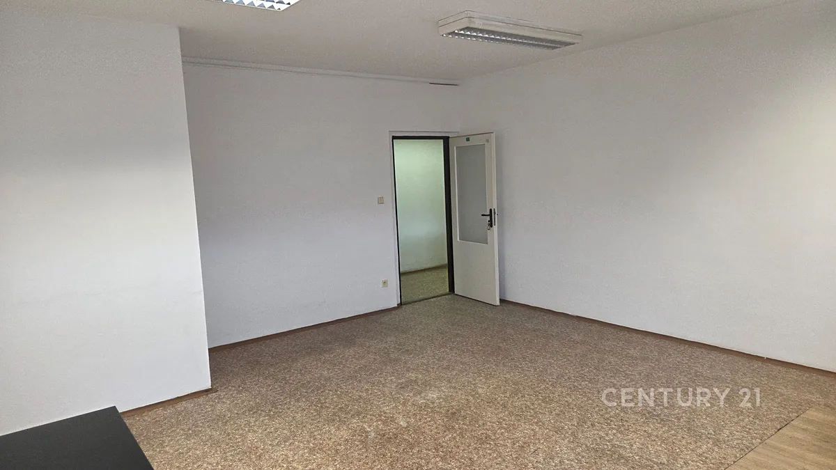 Fotka 4 z 13